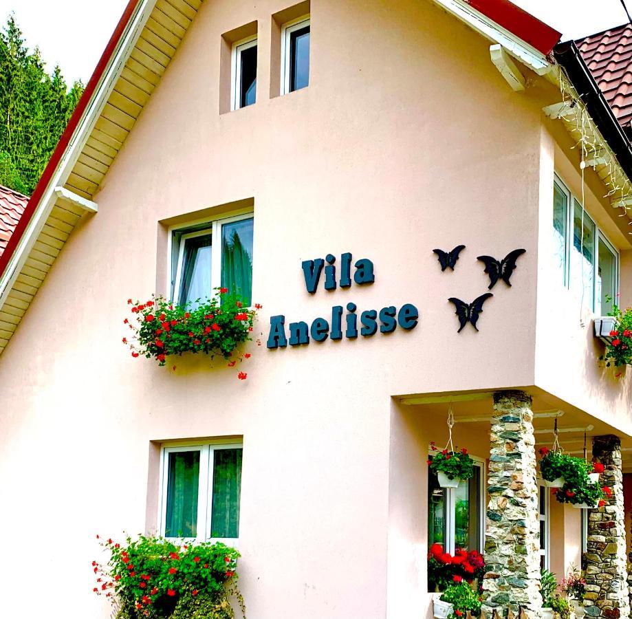 Anelisse Inn Moeciu De Sus Exterior photo